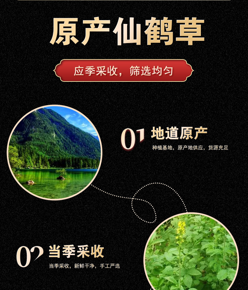 Wild Agrimony Herb 500g Xian He Cao Dried Whole Herb Traditional Herbal Tea key features