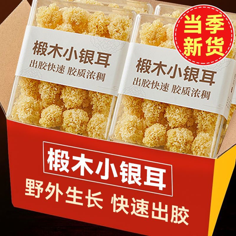 【净重】椴木小银耳新货银耳白木耳古田无熏硫小朵银耳百合莲子羹