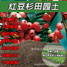 �t��ɼ������@�������S���N�仨����ͨ��ɳ���N�����ЙC���Nֲ��