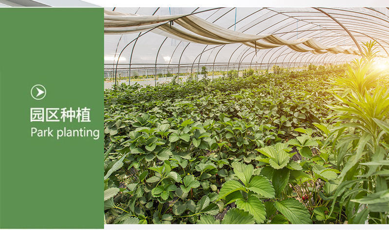 46c8385a-4186-47da-8e62-f5c25ea0af1b.jpe