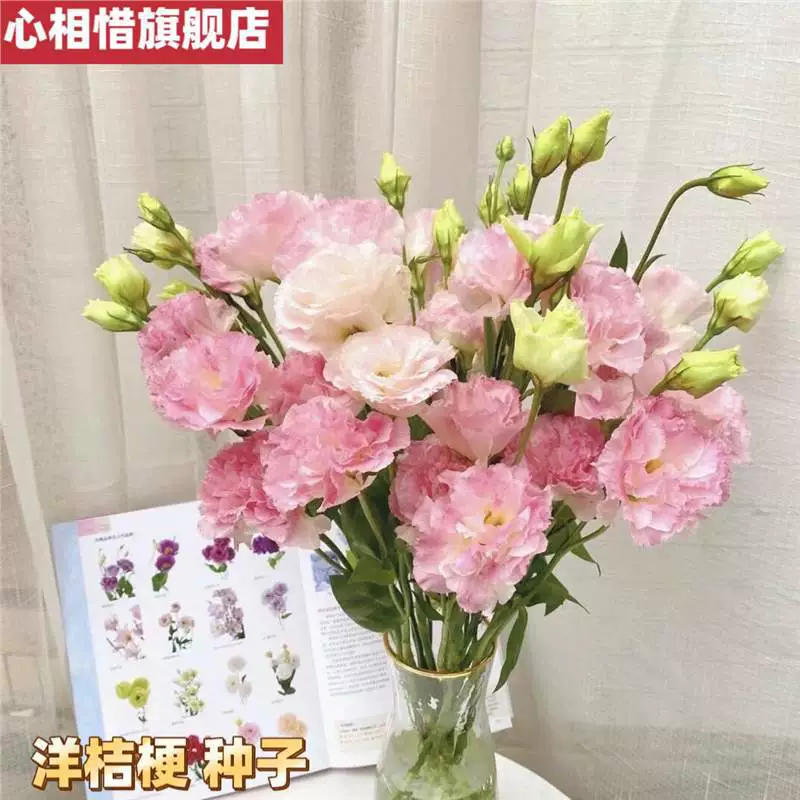 Семена лизиантуса с двойными цветками для всесезонного посадки, легко выращиваемые цветущие растения для сада, открытого балкона, набор цветочных пакетов.