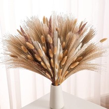 ����˹��С�JȔ��β�ݷ��mС�JȔ�Ҿ��b��ɻ�����