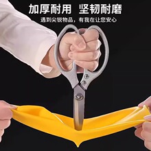 ţ�����z���׼Ӻ��ˮ�坍�N��ϴ���������zƤ��ĥϴ�·�