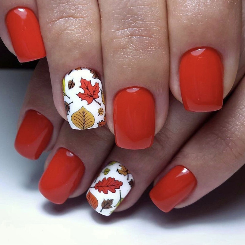 Cross-border Foreign Trade Nail Nail Pieces Simple Thanksgiving Maple Leaf Red Wear Nail Pieces Short Nail Pieces