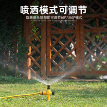 �@�ֿ��{�F������С���^��ˮ����ƺ��ȝ����@ˇ��ȇ��^���F