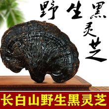 ]LɽҰ`֥֥`֥`֥Ƭ֧