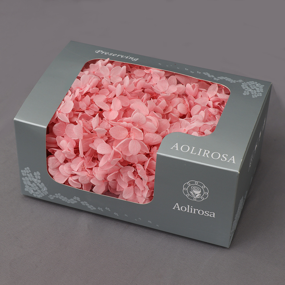 Flores Secas de Hortensia Preservadas A+, Fabricante de Flores Frescas Preservadas, Venta al por Mayor, Caja de 20g, Hortensia de Hoja Mediana Preservada