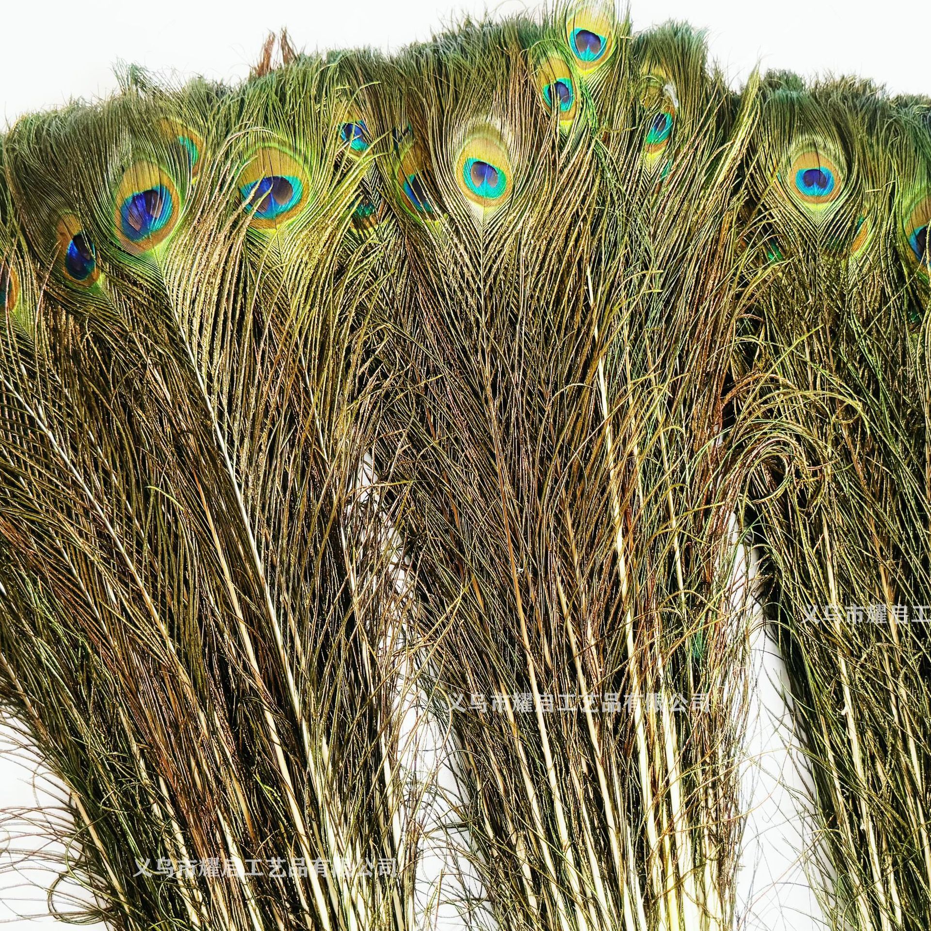 Suministro de stock de alta calidad 70 - 80cm plumas de pavo natural cola casera DIY decoración floral plumas de pavo ornamentos image 3