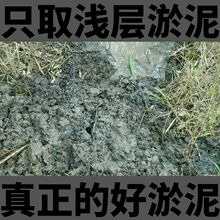 ��������Ȼ�ЙC����ɻ���ɏ˯ɏһ�~ɏ�B��ˮ����ֲ��ú���