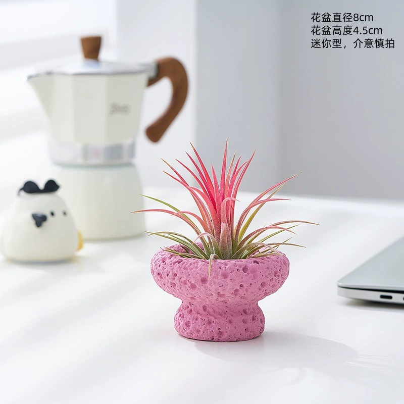Красный эльф, воздушный ананас, беспочвенная рабочая станция для растений, маленькие украшения, офисный рабочий стол, гостиная, зеленые растения, цветочные горшки
