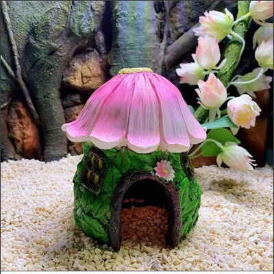 Supplies Hermit Crab Hamsters avoid Landscaping decorate