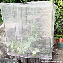 ���x�W�֙��җ�÷�{ݮ������B����ω���ô�͸��͸�⎧�K�ӿ��ϻ�