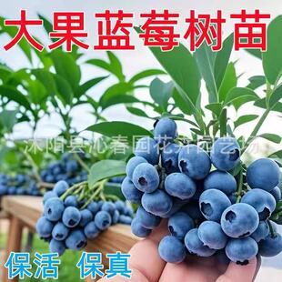 �{ݮ�������Ϸ������ļ��̨ˮ����NֲͥԺ���N������箔��Y��