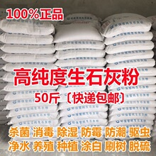 斤生石灰粉 消毒防虫改良土壤刷树防潮驱虫防霉除湿干燥剂