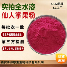 仙人掌果粉 水溶仙人掌果汁粉喷雾干燥梨果仙人掌粉SC工厂可寄样