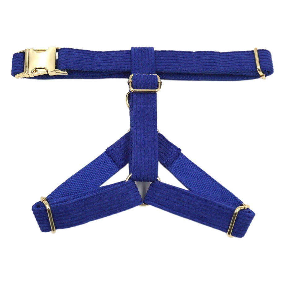 Трансграничная партия с гравировкой сокровищ синий бархатный золотой пряжкой ошейник для домашних животных Тяговая веревка лук сундук собака табурет сумка костюм