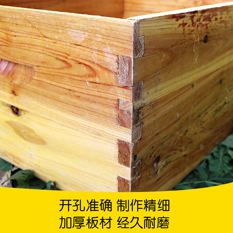 Colmenar de abejas conjunto completo de herramientas de apicultura, colmenar especial, caja de colmenar estándar de diez marcos de cera de abeto.