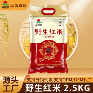 Ұ���t������s�Z���� 5 �����l�r���Ԯa�������׼t���״ּZ