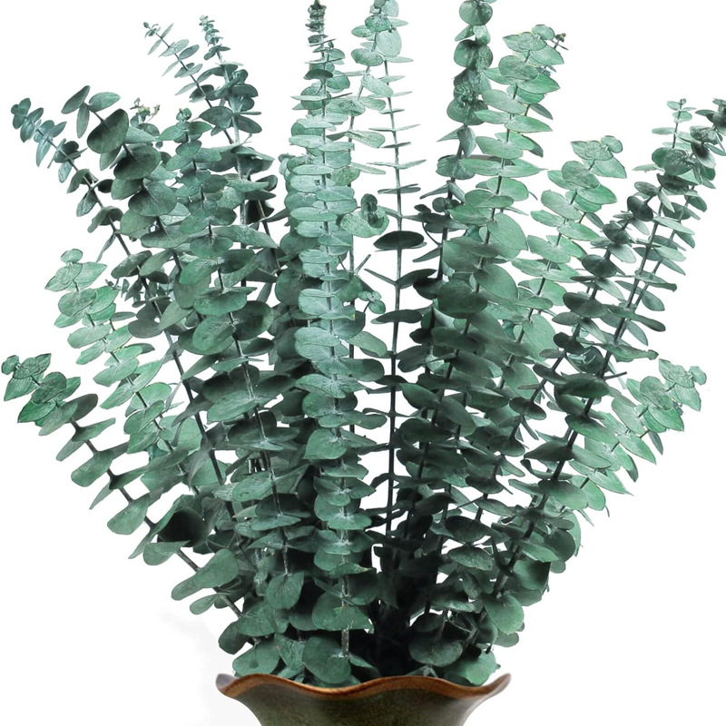 Eucalyptus Leaf Immortal Flower Copper Coin Eucalyptus Leaf Thin Eucalyptus Leaf Dried Bouquet DIY Flower Arrangement Shooting Props