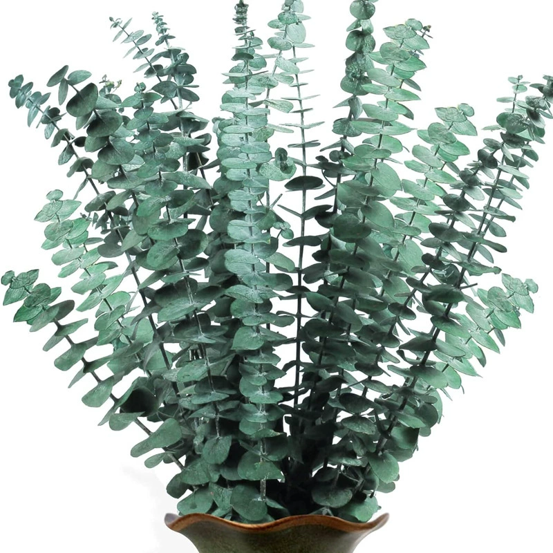Eucalyptus Eucalyptus Eucalyptus Eucalyptus Eucalyptus Eucalyptus Eucalyptus Dried Flower Arrangement Photography Props