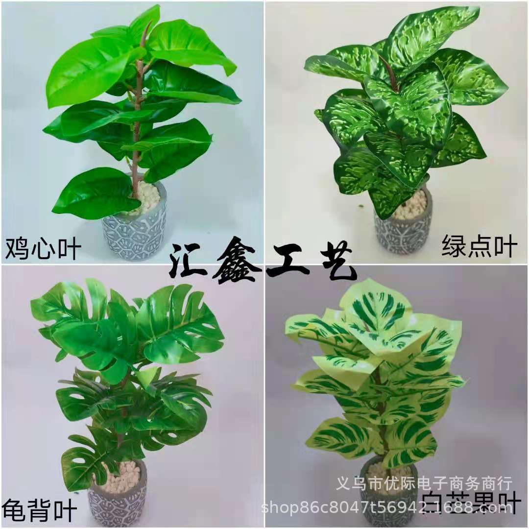 3e81224e241c8c91927889093305ef