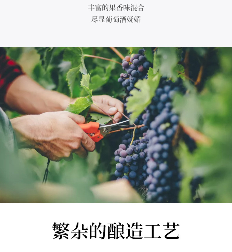 详情页_03.jpg