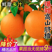橙子江西赣南品种脐橙10斤新鲜水果当季整箱正宗榨汁果冻橙冰糖甜