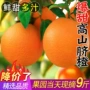赣南江西品种正宗脐橙