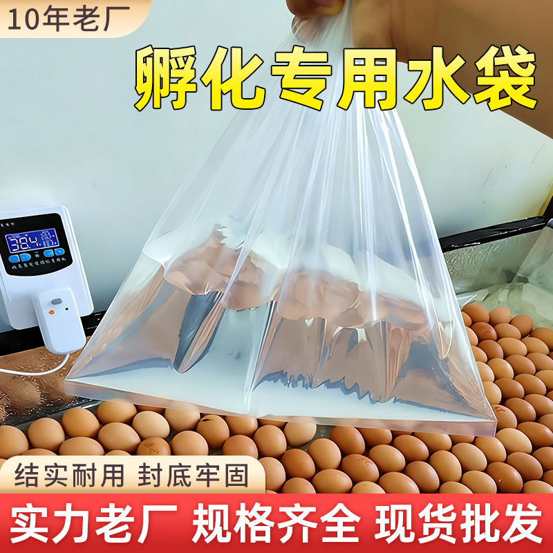 加厚孵化专用水袋双封小鸡鹦鹉芦丁鸡水床孵化器孵化机箱家用配件