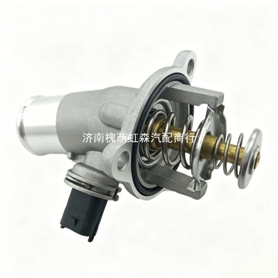 Regulator, Thermostat