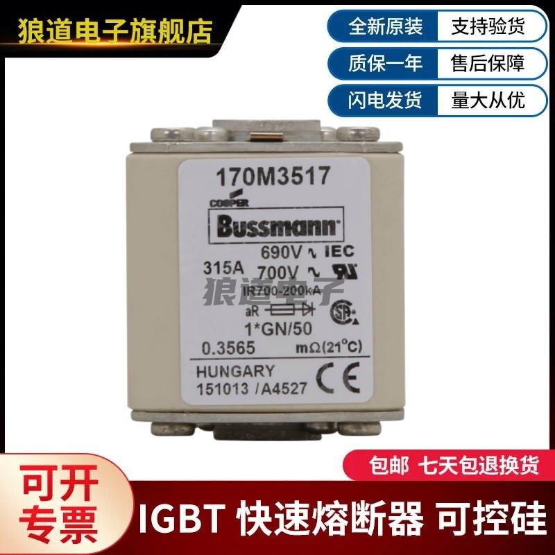 巴斯曼熔断器 型号齐全现货170M3516 170M3517 170M3518 170M3519
