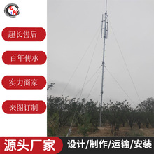 订制加工5G3米配重抱杆6米楼顶附墙抱杆21米钢结构通讯塔拉线桅杆