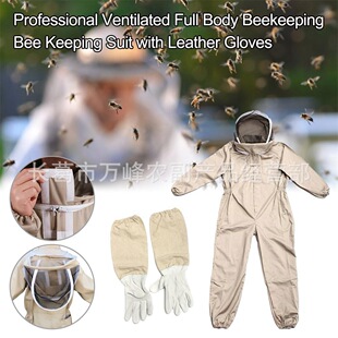 �B�����̫�շ��Ӻ��B�w��ɫ̫�շ���ɫ̫�շ�����Ƥ���׷�����l