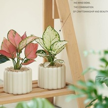 �k���������҃ȾGֲС���������L�[���ļ����B�҃�����ȩ�����՚�