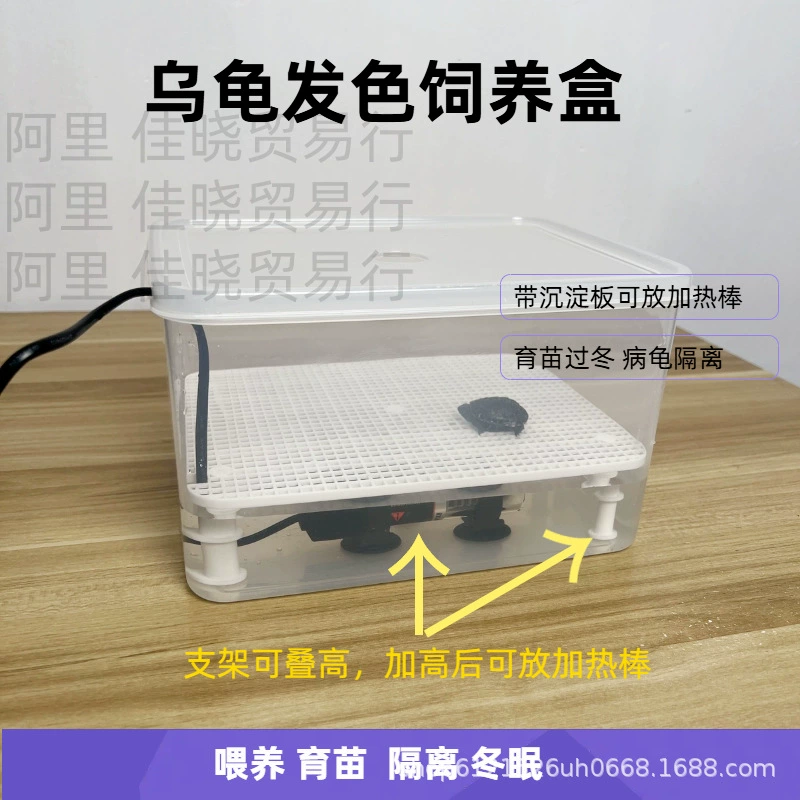 Черепаха черно-белая коробка цвета волос Яйцо черепаха Коробка для разведения коробки