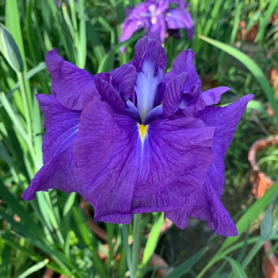 2205 база оптовая поставка импортная