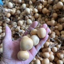 С���J�ҾӒ���ؔ���Ȼ���J����С����[��������ÏS�Ұ�������