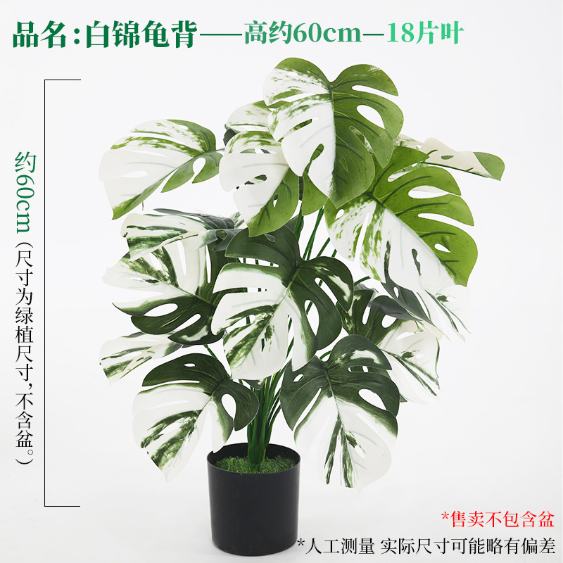 18葉の白錦亀の葉