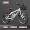 Fuchsia bike shifter (brake handle) disc brake