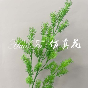 ���� ���滨�������R�ɾGֲ���ɲݻ�c��Y�üҾӾƵ��b����l