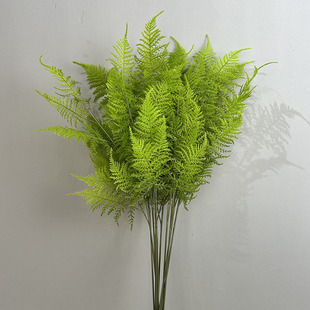 ɭϵ��c�[�ŷ���Gֲ�춬���� �W�t�����b����Ƭ�ɴ�ާ��