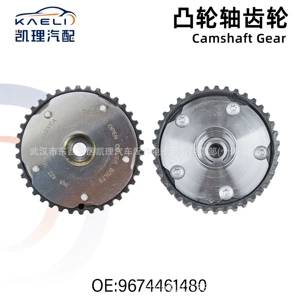 9674461480 Camshaft gear sprocket VVT timing pulley EC5 suitable for Peugeot Citroen/intake