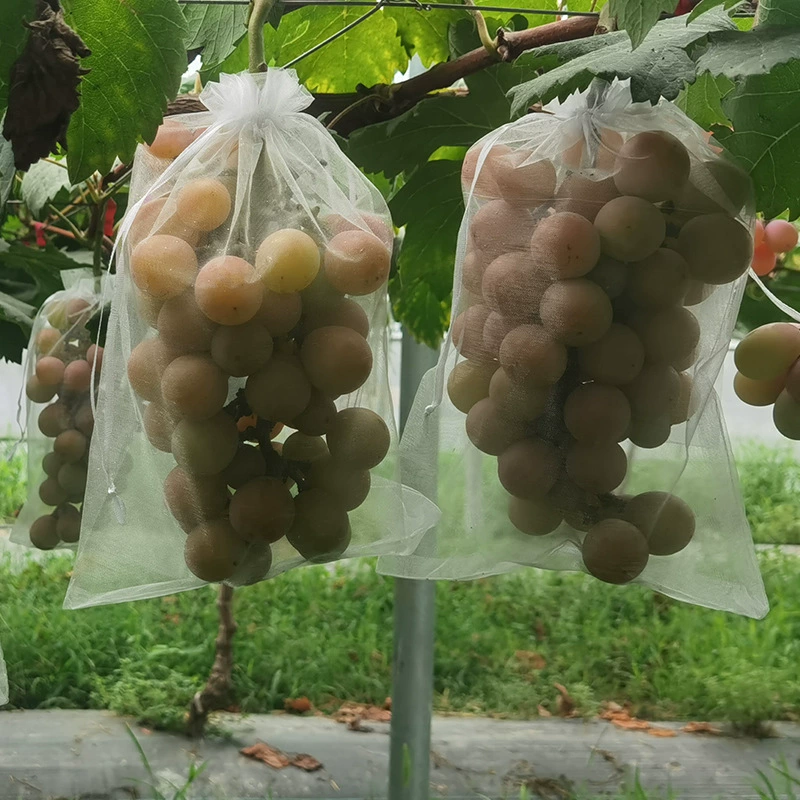 Белая фруктовая сетка, защищенная от насекомых и птиц, сетчатая сумка для арбуза, клубники, сетчатая сумка на шнурке, полупрозрачная защитная сумка для фруктов, оптовая продажа