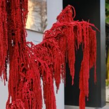 �����������괺���Ғ����b�䁙������b�껨ˇ��O�b���ꐵ���