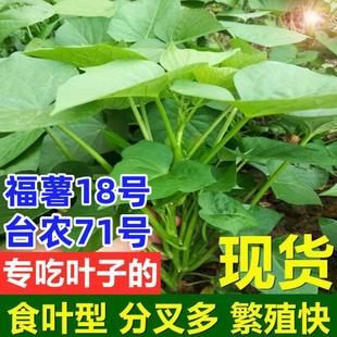 ʳ�üt���~�猣�T���~�ӵļt���N��̨���ع��~ʳ�~�ͷ����~������