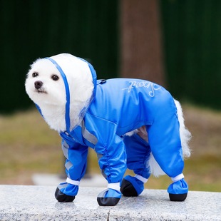Outdoor travel essential leisure one-piece raincoat dog clothes oversized hat brim splash-proof small pet raincoat