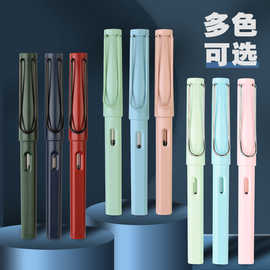 工厂发货多彩钢笔小学生专用正姿书写练字笔墨水墨囊两用钢笔批发