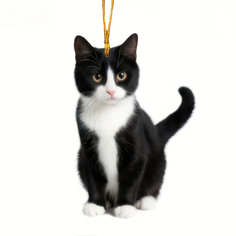 Colgante acrílico transfronterizo gatito negro decoración espejo retrovisor colgante para los amantes de las mascotas colgante joyas