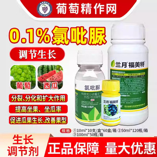 �m�� ������0.1%�����������{�����L���a������� �����������