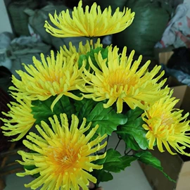 仿真花;永生花;绢花